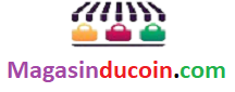 Magasinducoin.com